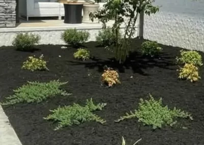Landscape Contractor