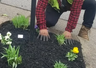 Landscape Services