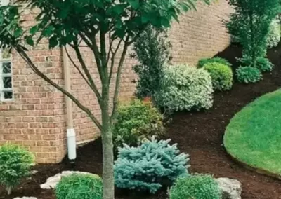 Expert Landscape Contractor
