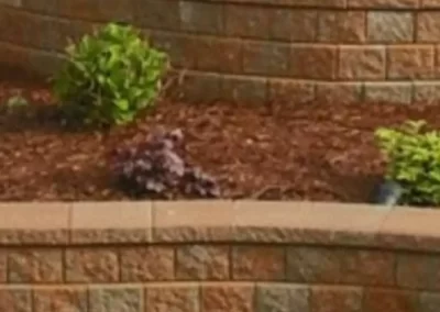 Expert Landscaping Company